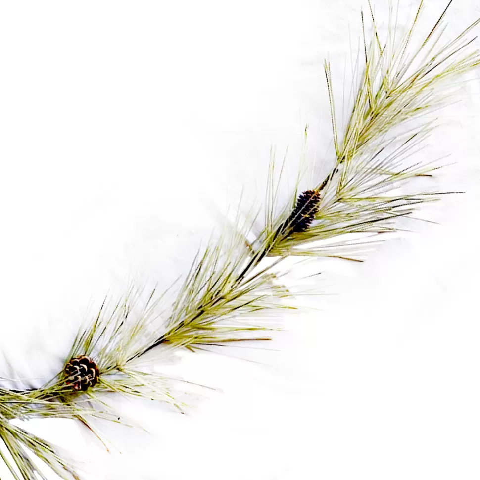 Christmas Forever GARLAND PINE FLOCKED 72″ LONG NEEDLE PINE & PINE CONES