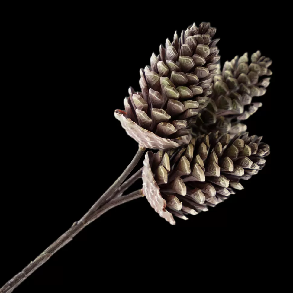 Christmas Forever PICK PINE CONE 12″ NATURAL 3 CONES