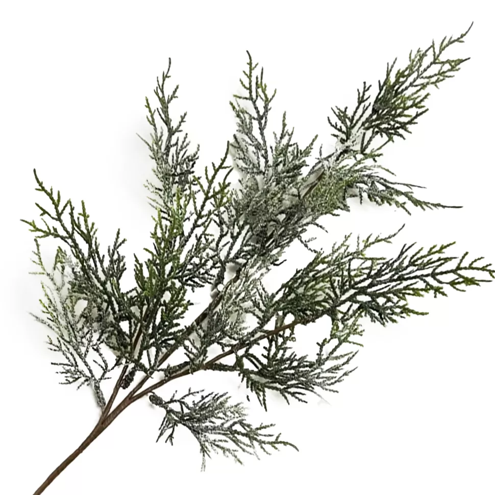 Christmas Forever SPRAY CEDAR FROSTED 22″