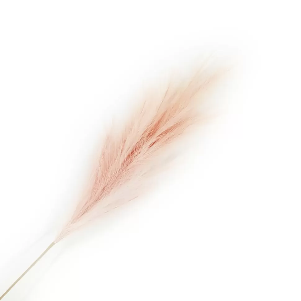 Christmas Forever SPRAY PAMPAS GRASS 43″ ROSE