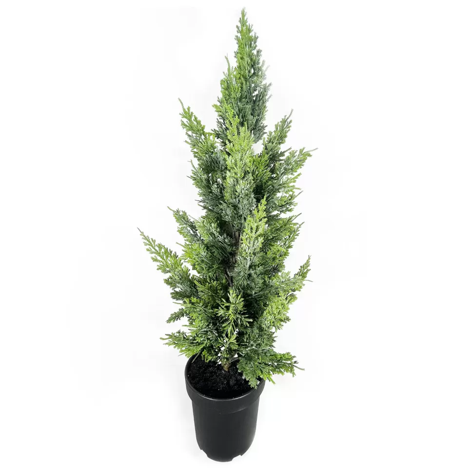 Christmas Forever TREE NAT. CEDAR 38″ W/ BLACK POT