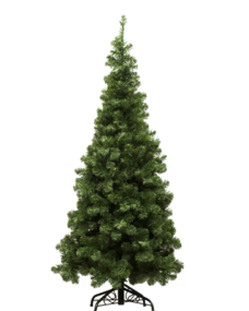 Christmas Forever TREE NOBLE PENCIL PINE 5’/650T